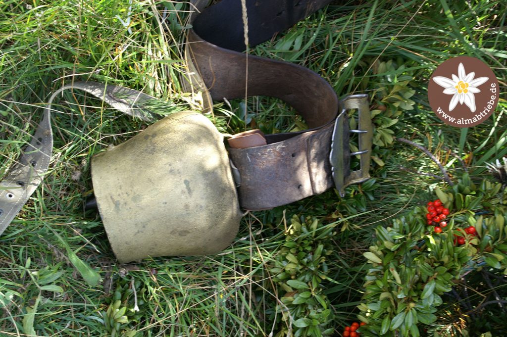 Glocke beim Almabtrieb