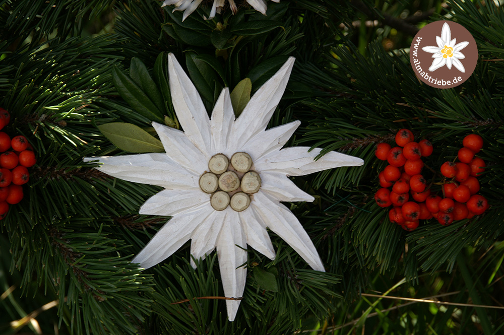 Almabtrieb Schmuck