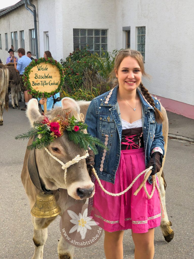 Viehscheid in Oberschönegg