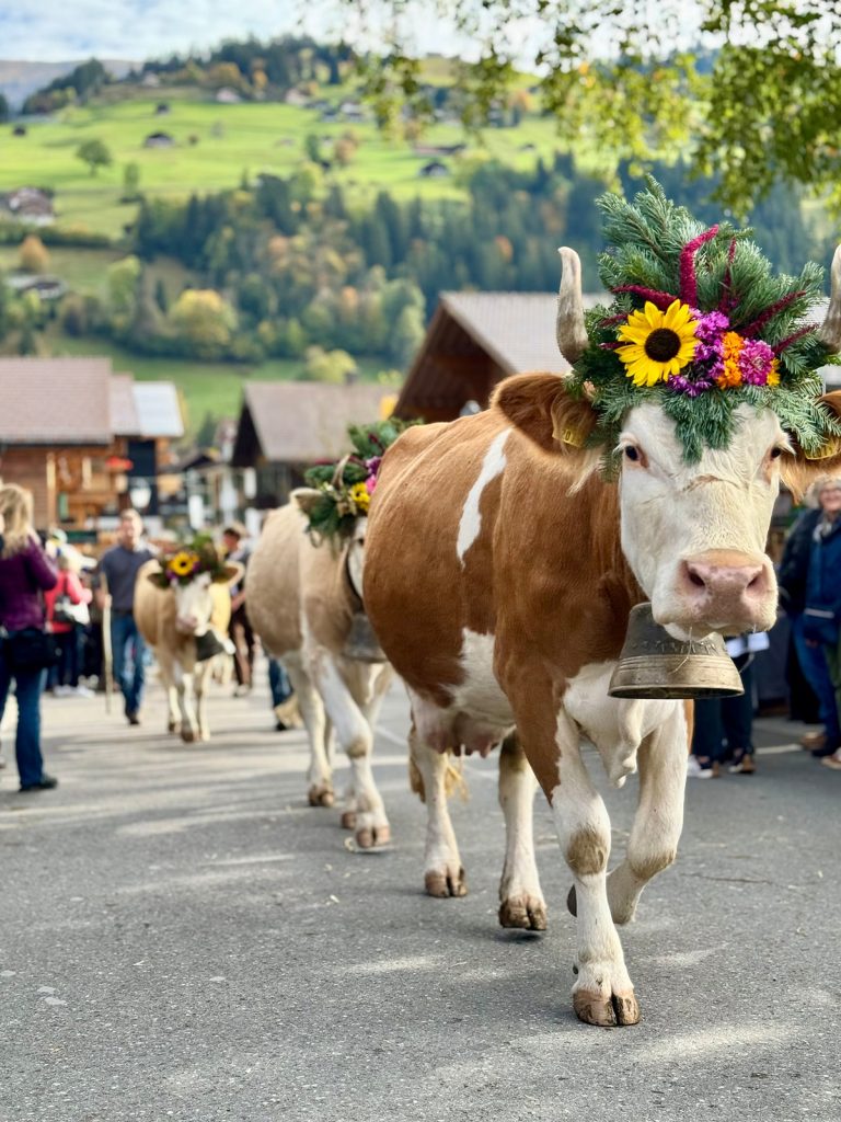 Copyright: Lenk-Simmental Tourismus